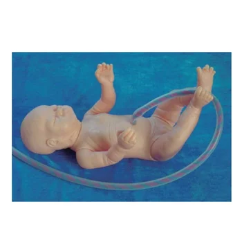 BIX-F132 Medicinos Mokymo Naujagimių Virkštelės Slaugos Modelis(Baby Manikin)