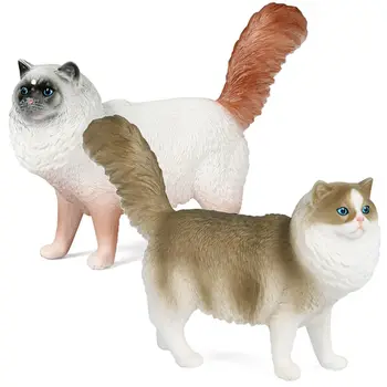 Kraštovaizdžio Švietimo Žaislas, Mokslo & Gamtos Tikroviška Ragdoll Modelis Pet Kačiukai Ankstyvo Mokymosi Modeliavimas Kačių Figūrėlės