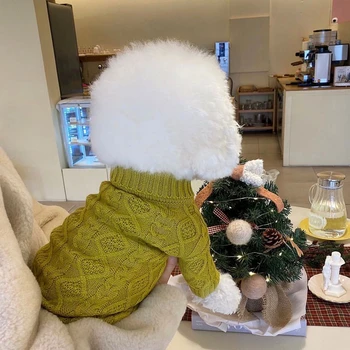 Vidutinio Mažų Šunų Dryžuotas Megztinis Šiltas Vilnos Mados Modelis Kačiukas, Šuniukas Saldus Puloveris Čihuahua Katė