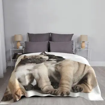 Šuo Antklodė Komfortą Mesti Vilnos Antklodė Minkšta Šilta Gyvūnų Antklodės Sofa Cover 